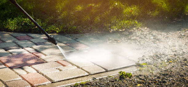 Best Dumpster Area Cleaning  in Snead, AL