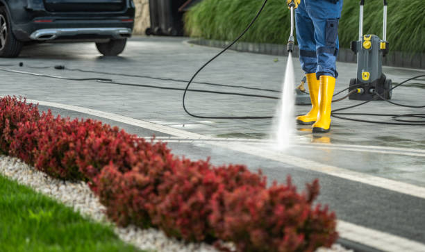 Professional Pressure Washing in Snead, AL